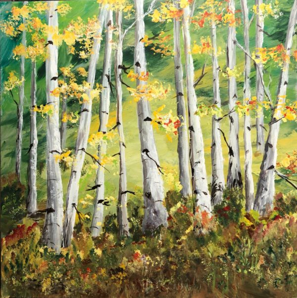 Birch Grove in Fall Colors