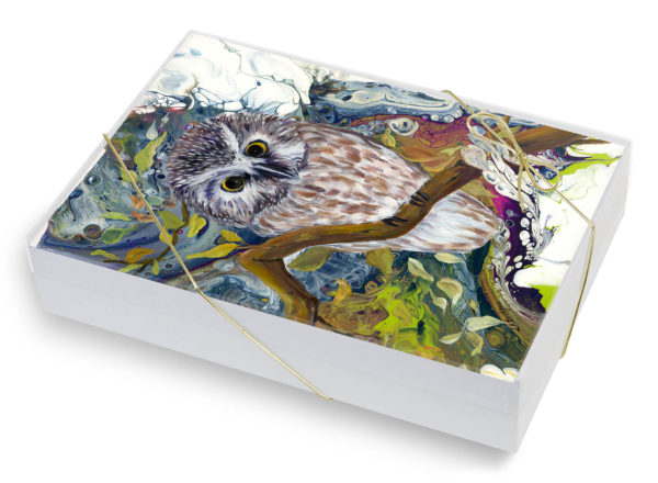 Boreal Owl-Set of five fine-art print cards