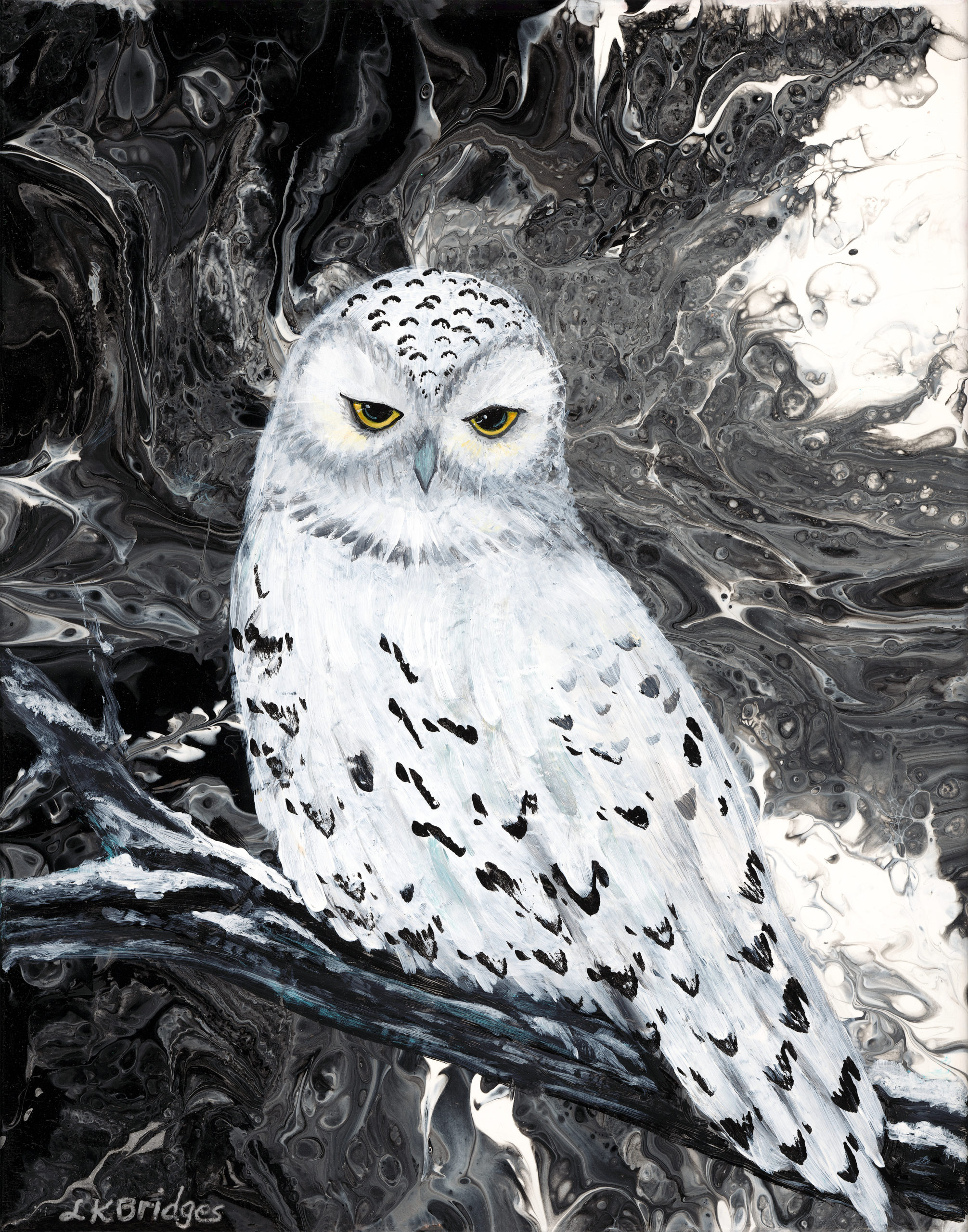 Snowy Owl